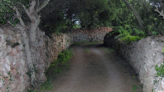 Menorca: Chuyến tham quan bằng xe đạp điện từ Punta Prima đến Binibeca