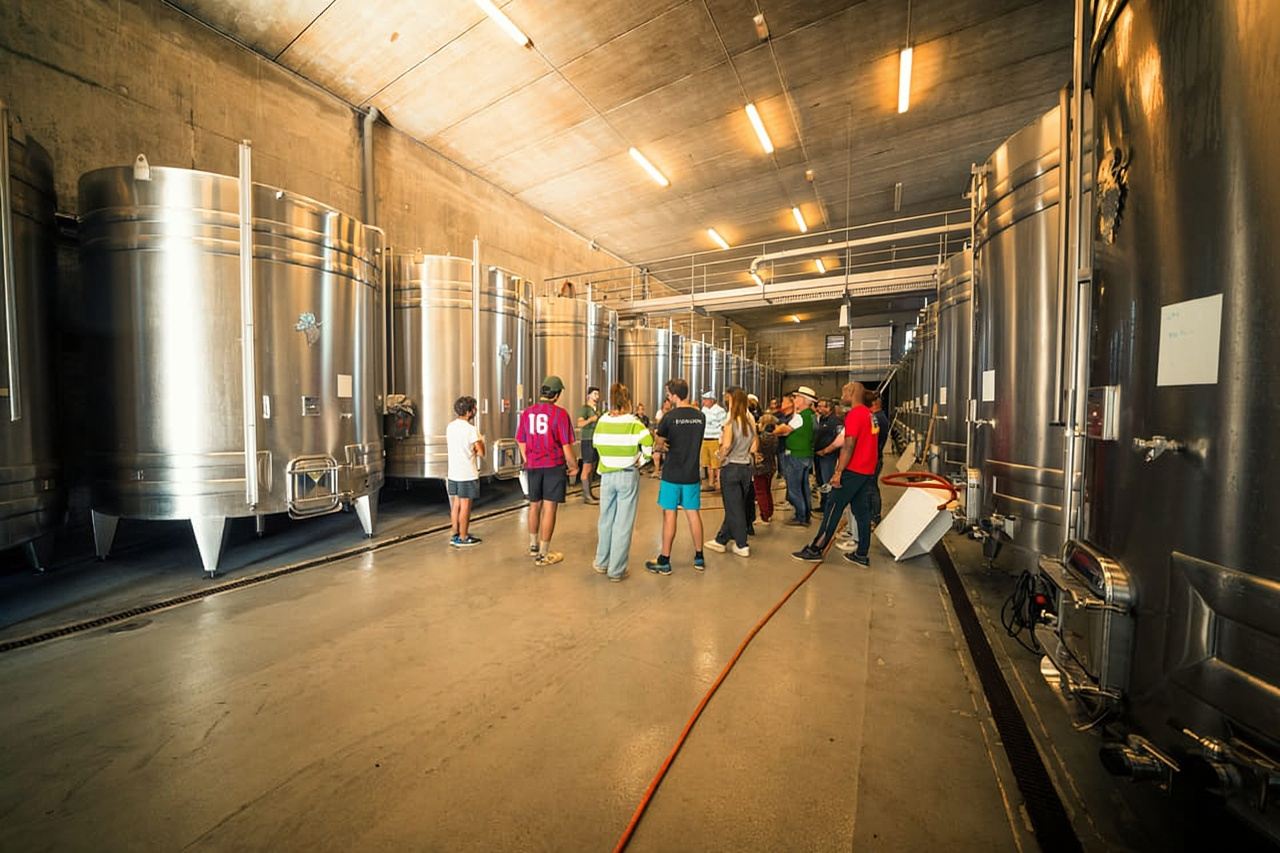 Chinon : Discovery Tours and Wine Tasting