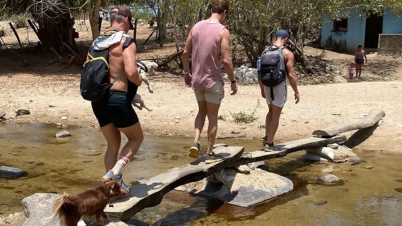 Puerto Vallarta: Snorkel di Los Arcos, Las Animas & Quimixto