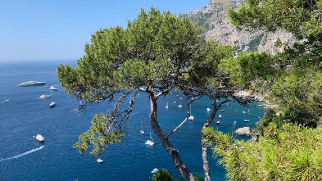 De Sorrente : excursion d'une journée à Capri et Anacapri avec la grotte bleue