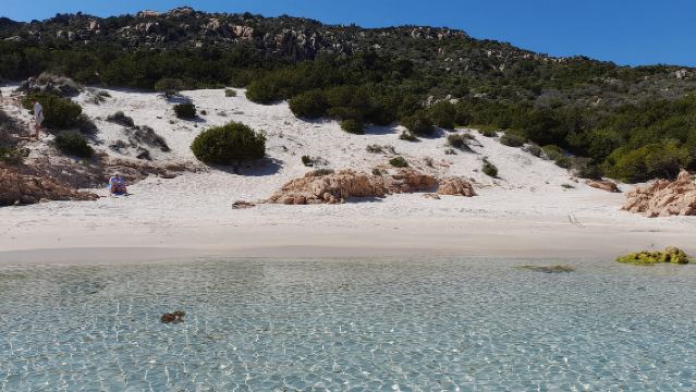 Poltu Quatu: La Maddalena Archipelago Sailboat full-day trip