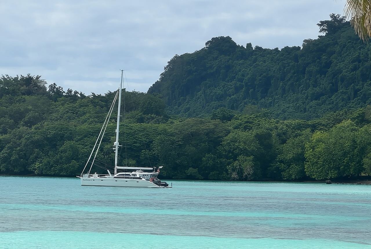 萬那杜全境|商務考察翻譯|展會翻譯|旅遊陪同|醫學翻譯|名校導覽|中文/英文|如需其他語言（請諮詢客服）