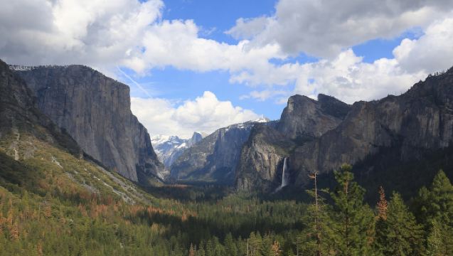 Lawatan Sehari ke Taman Negara Yosemite dari San Francisco Pergi-Balik [Sewaan Peribadi Bahasa Cina 12 Jam]