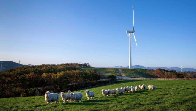 From Seoul: BTS Filming Locations Gangneung Day Tour