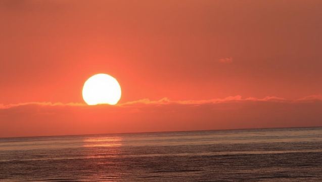 Summer South LofoteHighlights Photo Tour - Full-Day Small Group Tour