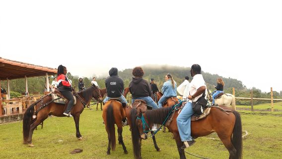 Medellin: Horseback Riding in the Medellin Mountains