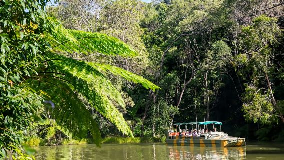 From Cairns: Full-Day Kuranda Army Duck Experience Tour