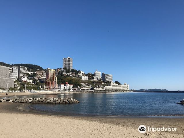 日本必買交通票｜JRPASS富士山＋靜岡區域3日周遊券 Mini｜台灣地區宅配