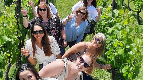 Lawatan Separuh Hari Martinborough Winery dari Wellington