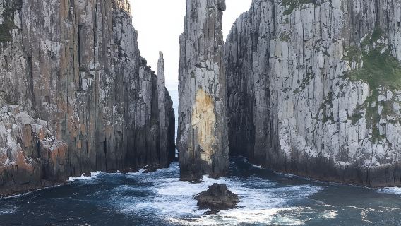 Tasman Island Cruises and Port Arthur Historic Site Day Tour from Hobart
