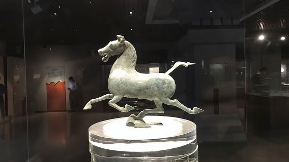 Private Lanzhou Day Tour: White Pagoda Hill, Zhongshan Bridge, Yellow River etc