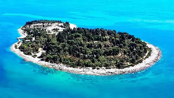 Excursion en bateau au parc national de Brijuni au départ de Pula. Avec visite de l'île.