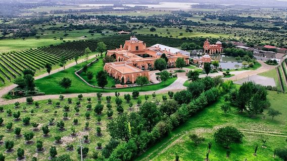 Vineyard, tour, tasting and fun in San Miguel de Allende