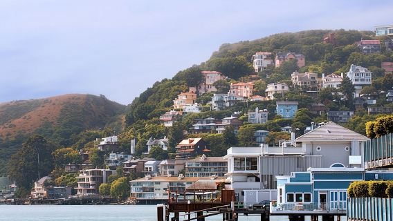 Muir Woods and Sausalito tour with Bay cruise