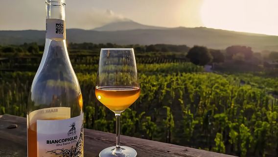 Escursione sull'Etna e degustazione vini con pranzo siciliano