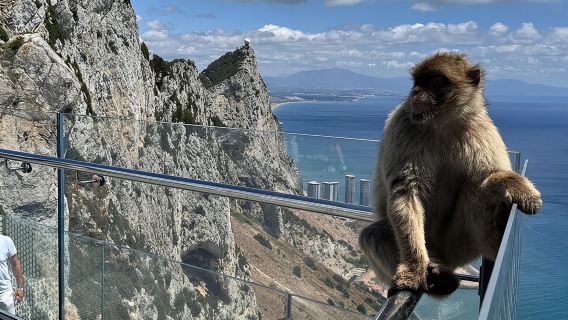 Частный тур по Гибралтару из Марбельи