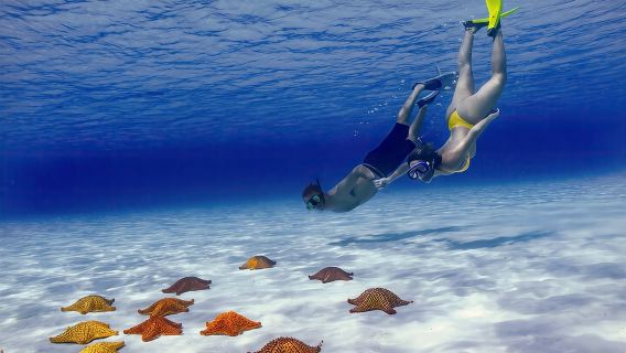 El Cielo Cozumel Snorkel Private Boat + Food + Drinks + Beach