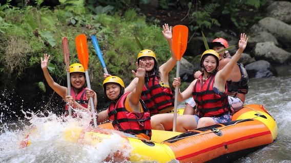 Bali Ayung River Rafting + Giant Swing + Ubud Palace & Market 1-day tour