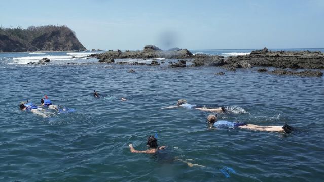 Dolphin and Snorkeling Trip with Costa Rican Companies