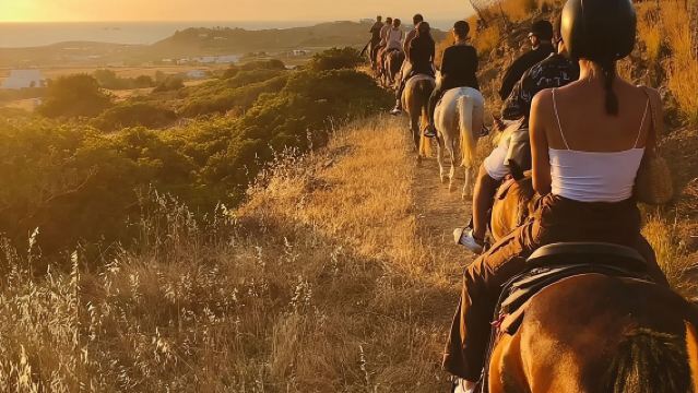 Golden Hour Gallop: Evening Ride in Paros