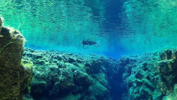 Snorkeling experience in Silfra, Iceland (professional guide + snorkeling photos + snorkeling equipment + city transfer)