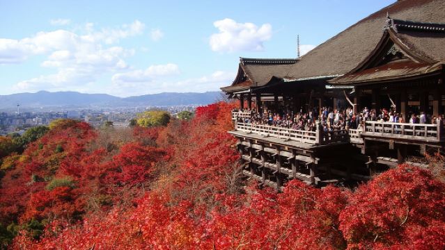 Perfekte 1-Tages-Bustour durch Kyoto