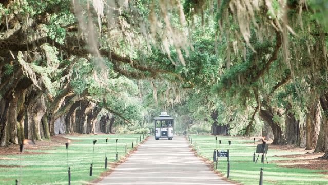 Boone Hall Plantation All-Access Admission Ticket