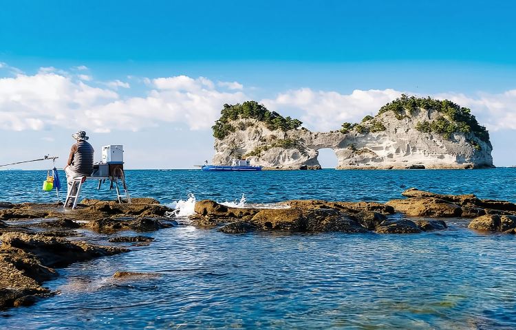 1-day tour to Nanki Shirahama + Wakayama cat station master Kishi train + Senjojiki + Sandanbeki cliffs