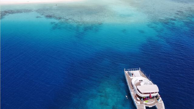 Catamarán privado - Isla de la Prisión y Banco de Arena Nakupenda (8 horas)