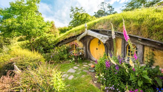 オークランド:ホビット村映画セットツアー(ランチ付き)