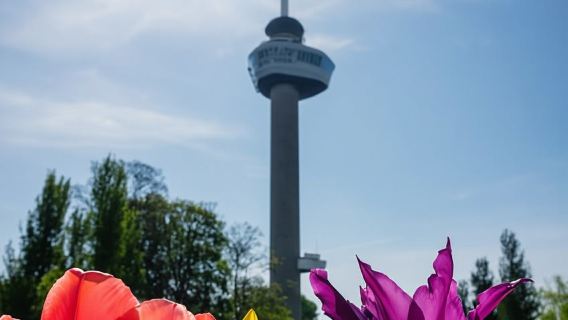 Rotterdam: Euromast Lookout Tower Ticket