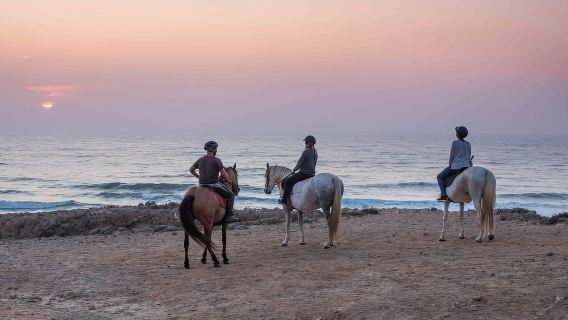 Algarve: Tur Pantai Berkuda saat Matahari Terbenam atau Pagi Hari