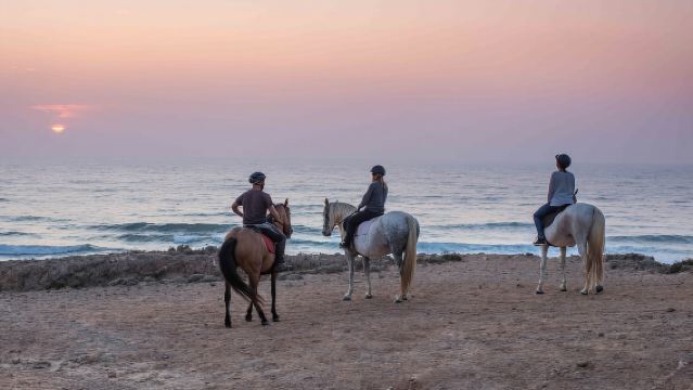 Algarve: escursione a cavallo sulla spiaggia al tramonto o al mattino