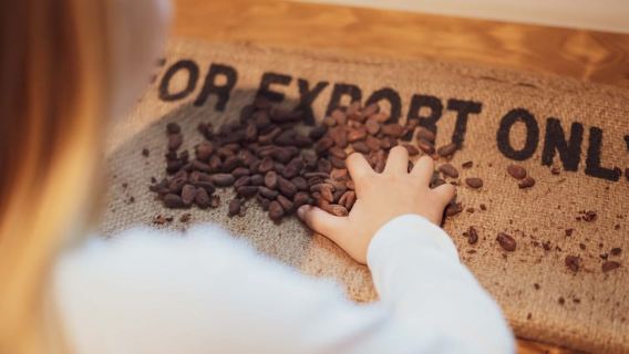 Porto: Museo del Cioccolato - Scopri i segreti del cioccolato