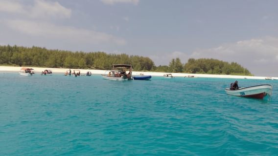 Sansibar: Schnorcheln und Delfin-Abenteuer auf der Insel Mnemba