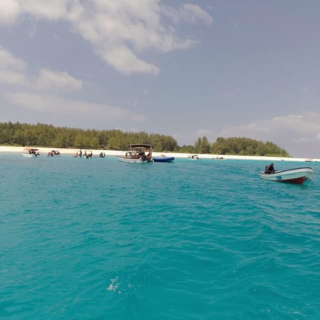 Zanzibar: Mnemba Island Snorkeling and Dolphin Adventure