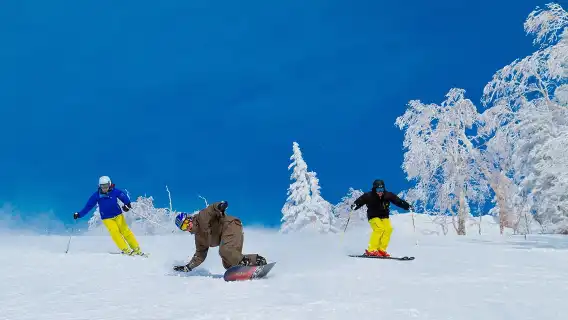 일본 홋카이도 아사리가와온센 스키장 당일 치기 여행 [전문 강사|삿포로 출발]