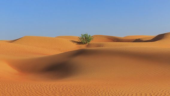 Trip Moments à Dammam en Arabie Saoudite[Dammam Corniche, chauffeur-guide, photographe, vidéaste, prise de vue, suivi de tournage, drone, film promotionnel, traduction, guide local, voiture avec chauffeur]