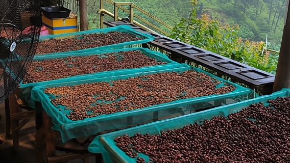 Experience specialty coffee with sustainable coffee farmers