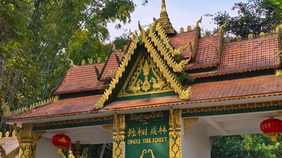 雲南旅遊西雙版納中緬邊境一日遊勐景來+中國打洛國門+獨樹成林