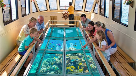 Glass-bottom boat tour from Sharm El Sheikh