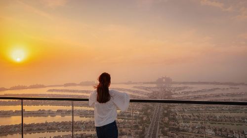 The View at the Palm Day Tours 8
