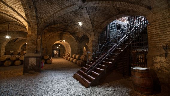 Descubre Santiago: Autobús turístico, Cerro San Cristóbal y vino