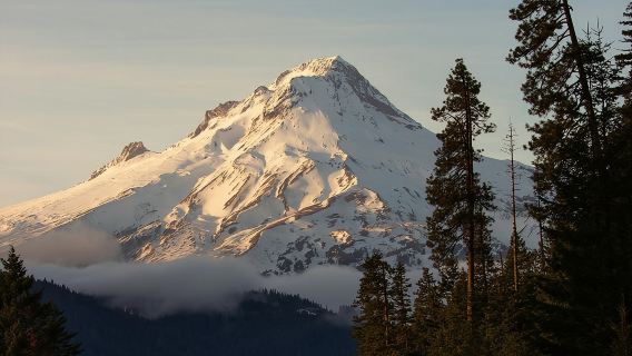 Columbia River Gorge Waterfalls & Mt Hood Tour from Portland, OR