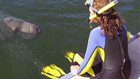 Manatee Swim, Snorkel and Boat Adventure Tour with Lunch