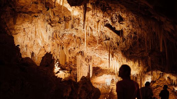 Self-Guided Ngilgi Cave Ancient Lands Experience