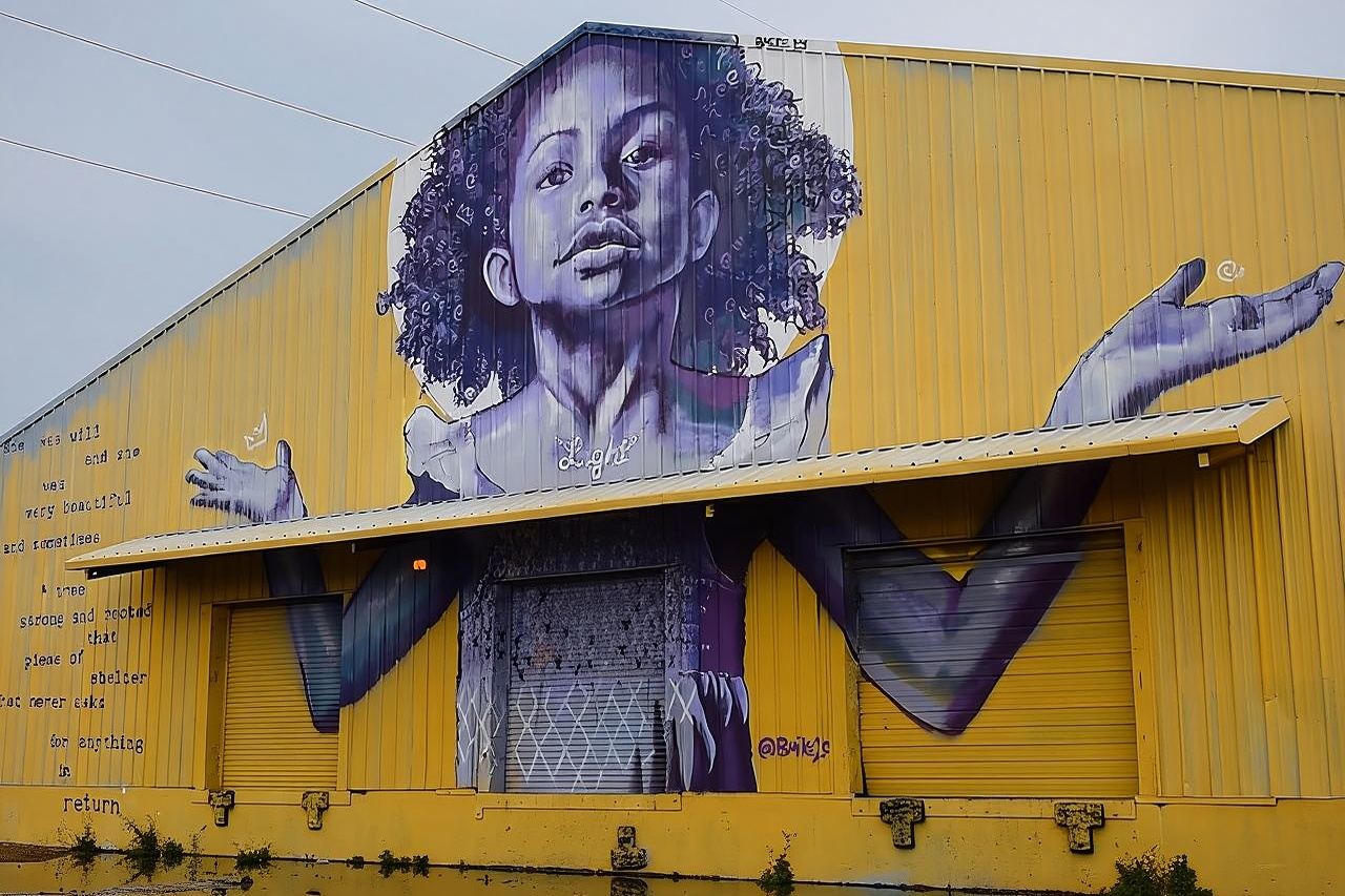 Tour panoramico della città di New Orleans