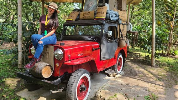 Exclusive Coffee Experience:Tour from Bogotá