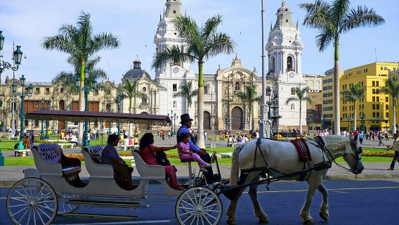 Lima City Tour. Pre-Hispanic, Colonial and Modern Tour.