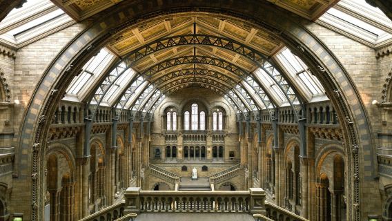 Natural History Museum of London Guided Tour - Semi-Private (ENGLISH)